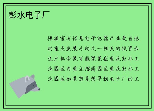 彭水电子厂